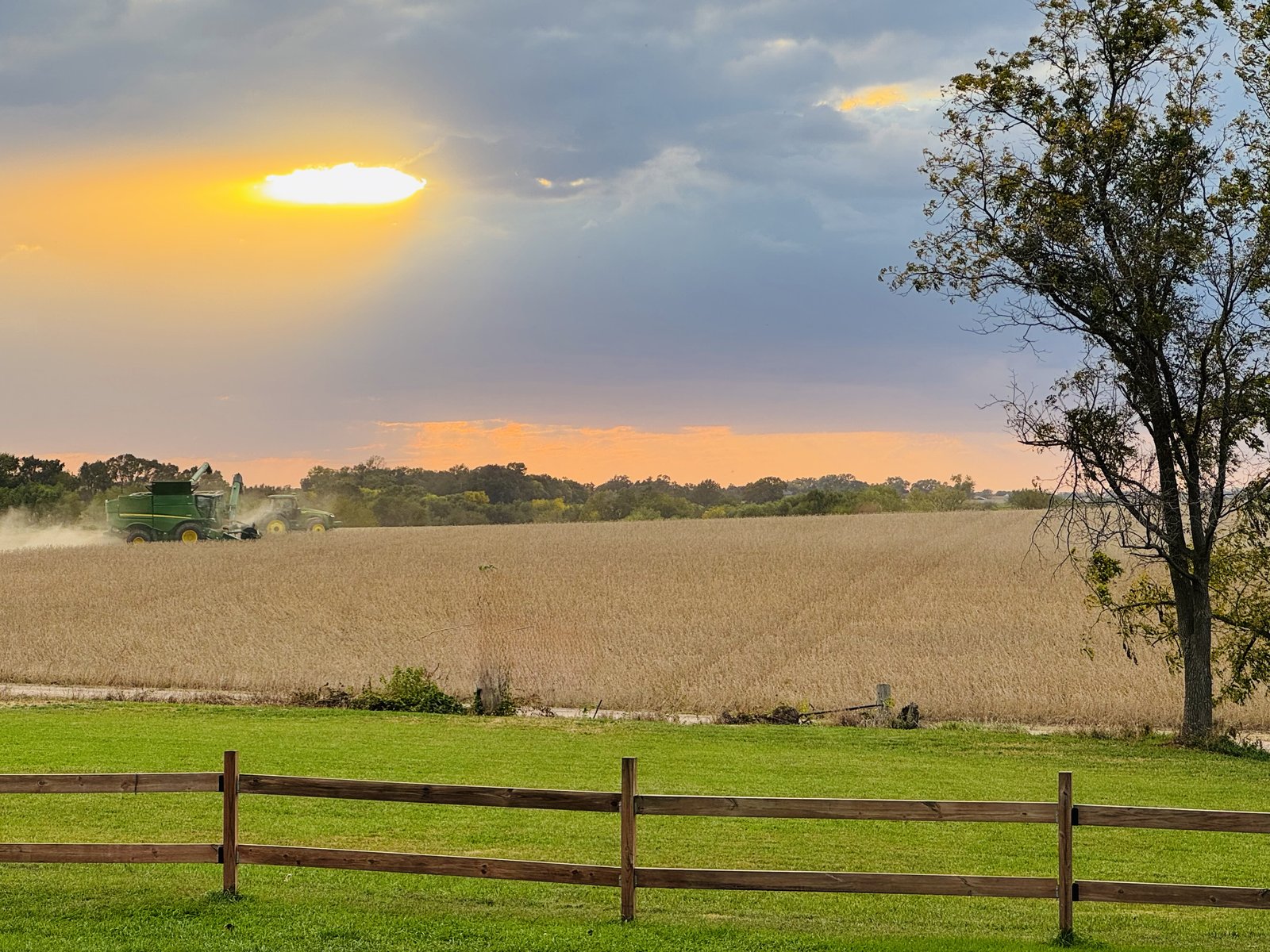 Harvest at sunset with fence line view