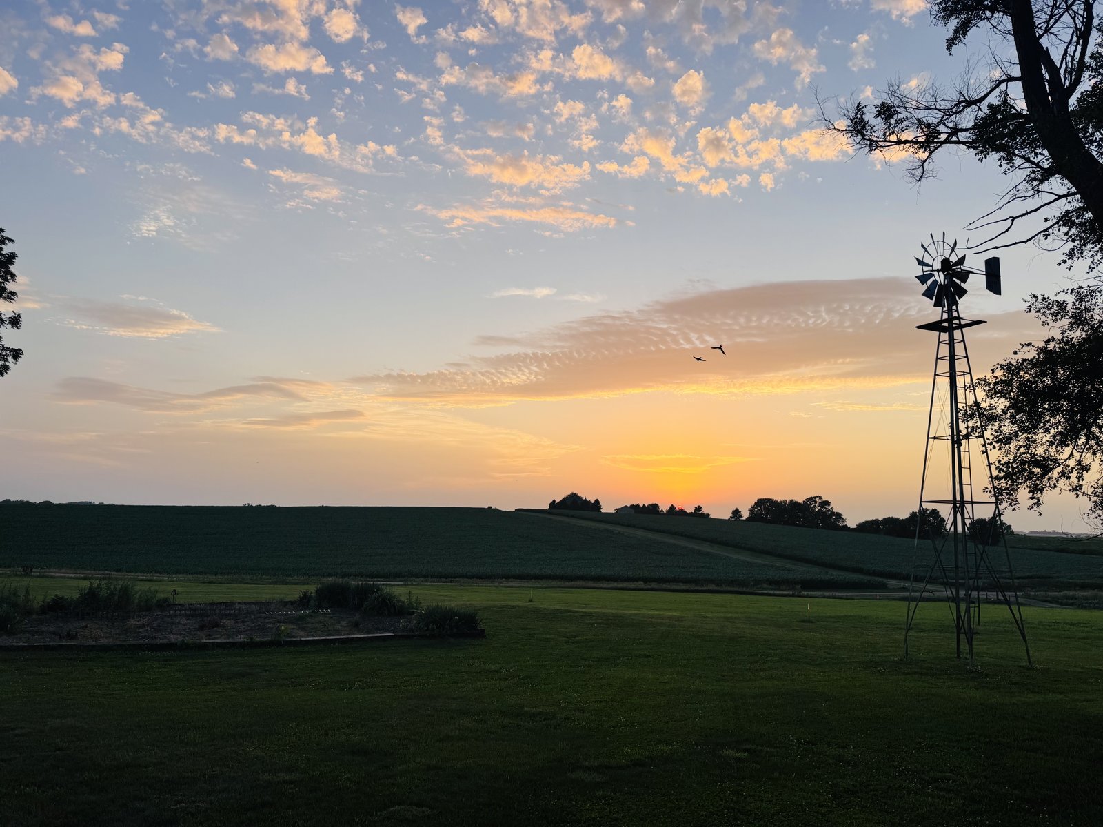 Nebraska sunset with windmill silhouette